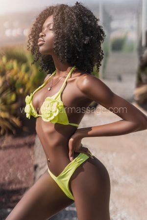 Imagen de la escort  0